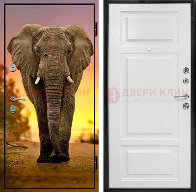 Металлическая дверь с фотопечатью слона ДФ-30 в Севастополе