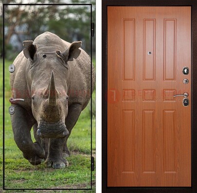 Металлическая дверь с фотопечатью носорога ДФ-31 в Севастополе
